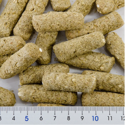 Hipet 兔兔龍貓 大麥棒 60g