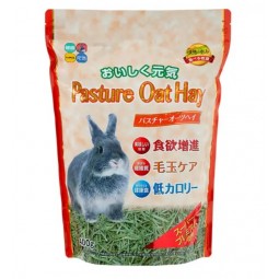 Hipet Pasture 牧場燕麥草 400g