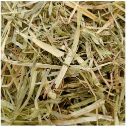 Hipet Pasture 牧場燕麥草 400g