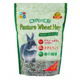 Hipet Pasture 牧場小麥草 400g
