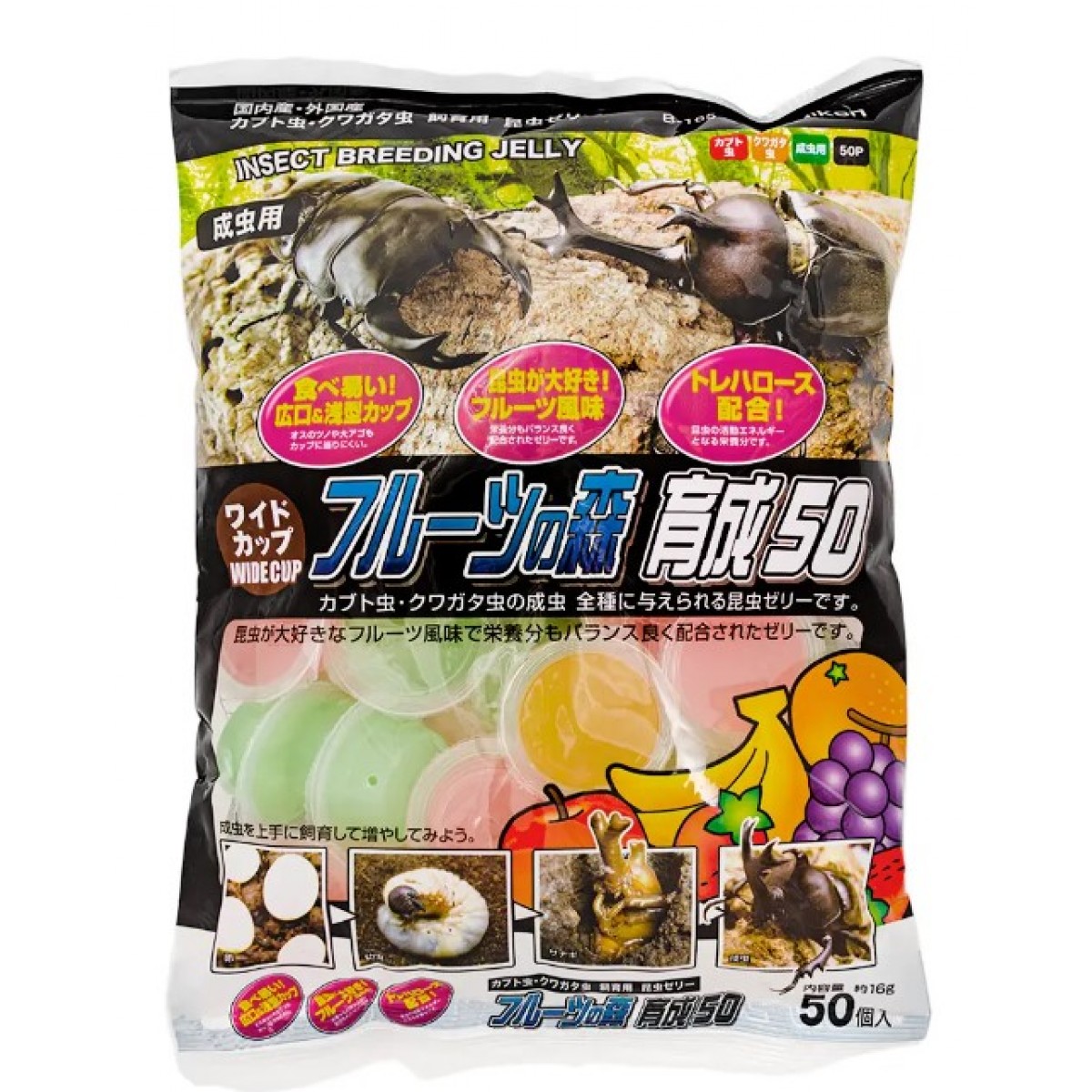[預購BEETLE] Fujicon 昆蟲果凍 寬杯 水果之森 16g x 50 個