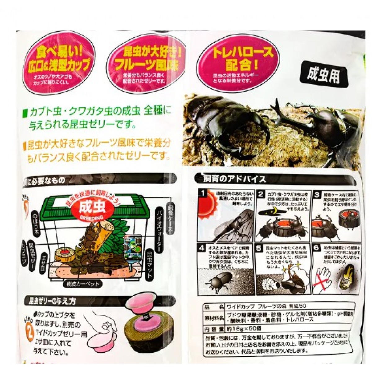 [預購BEETLE] Fujicon 昆蟲果凍 寬杯 水果之森 16g x 50 個